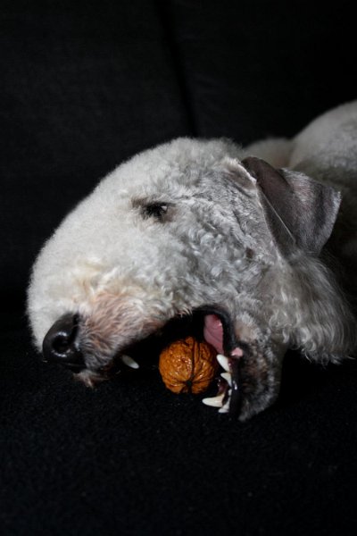 2010-11-14 Svet (3).jpg